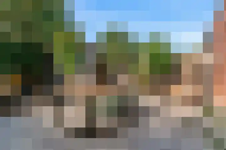 Schootanker 19 Nieuwkoop thumbnail 27
