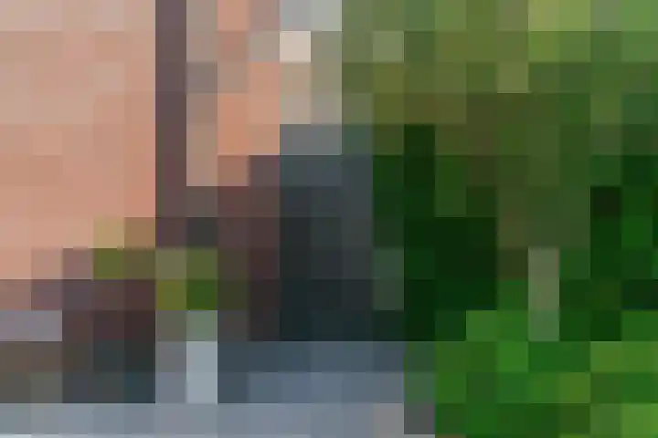 Schootanker 19 Nieuwkoop thumbnail 32