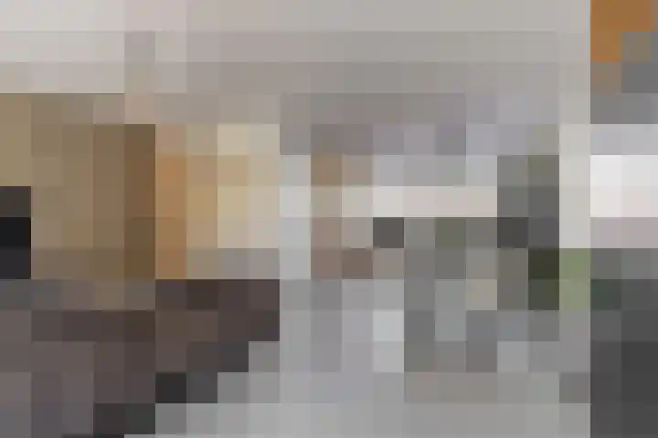 Schootanker 19 Nieuwkoop thumbnail 4