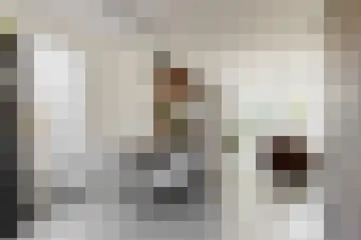 Schootanker 19 Nieuwkoop thumbnail 5