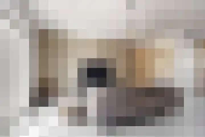 Schootanker 19 Nieuwkoop thumbnail 6