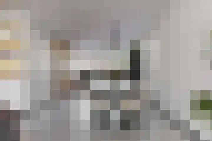 Schootanker 19 Nieuwkoop thumbnail 7