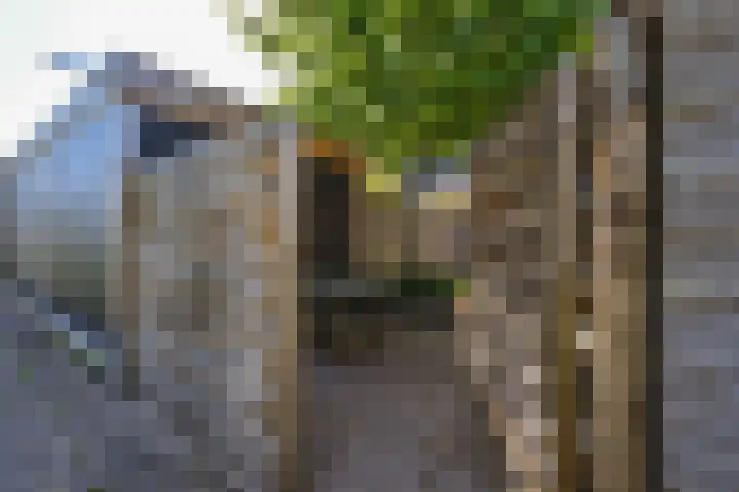 Schootanker 31 Nieuwkoop thumbnail 30