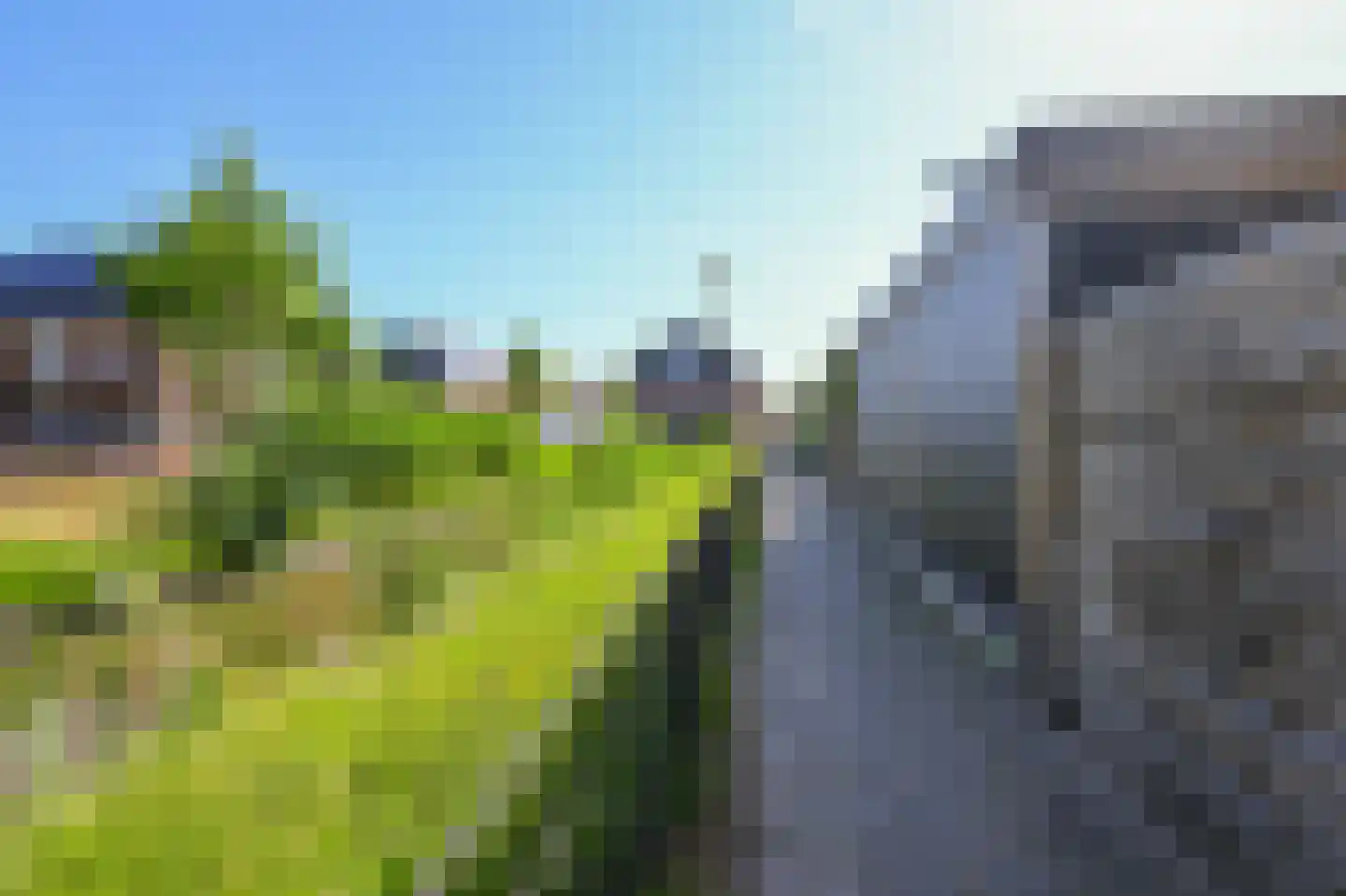 Schootanker 31 Nieuwkoop thumbnail 33