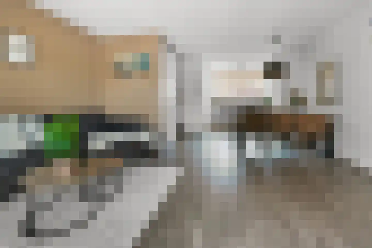 Schootanker 31 Nieuwkoop thumbnail 8