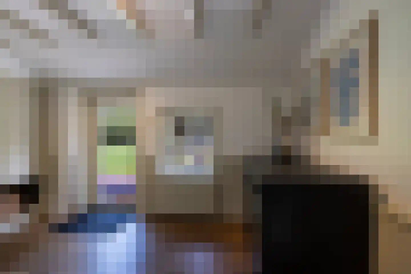 Schootbruggeweg 1 Doornspijk thumbnail 10