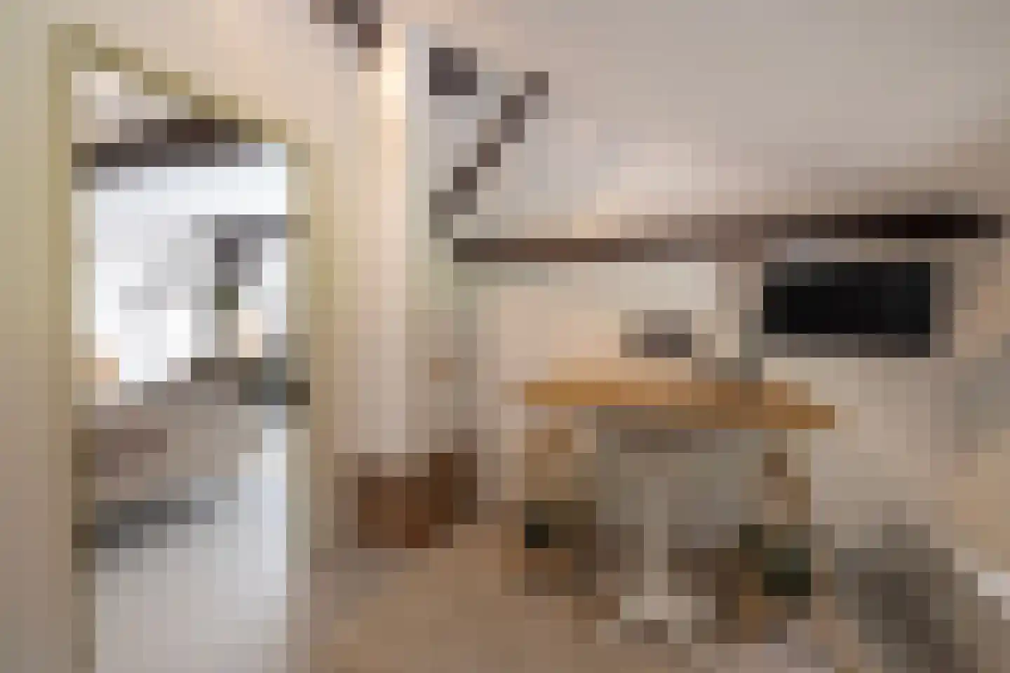 Schootbruggeweg 1 Doornspijk thumbnail 18