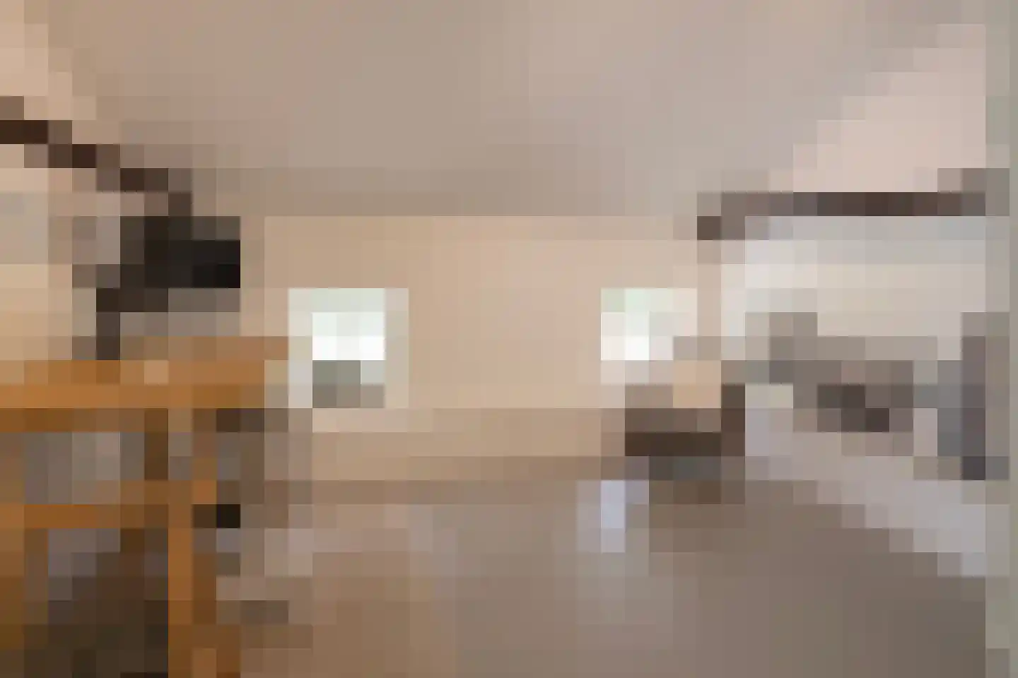 Schootbruggeweg 1 Doornspijk thumbnail 20