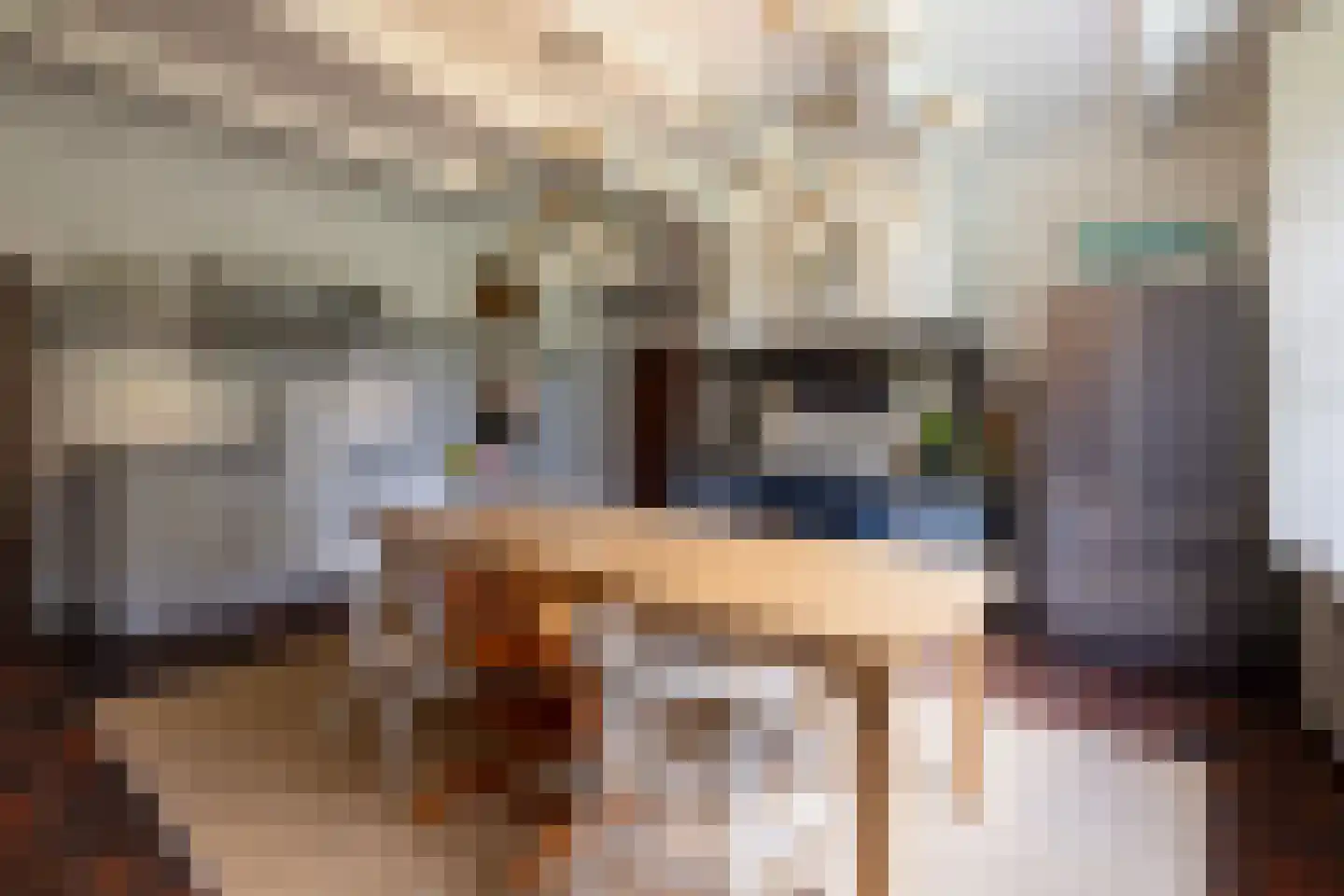 Schootbruggeweg 1 Doornspijk thumbnail 22