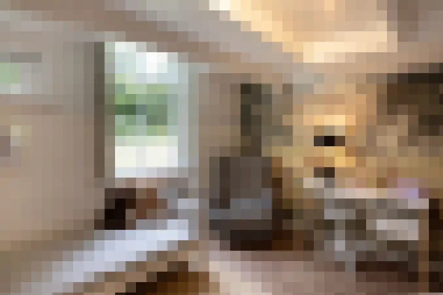 Schootbruggeweg 1 Doornspijk thumbnail 29