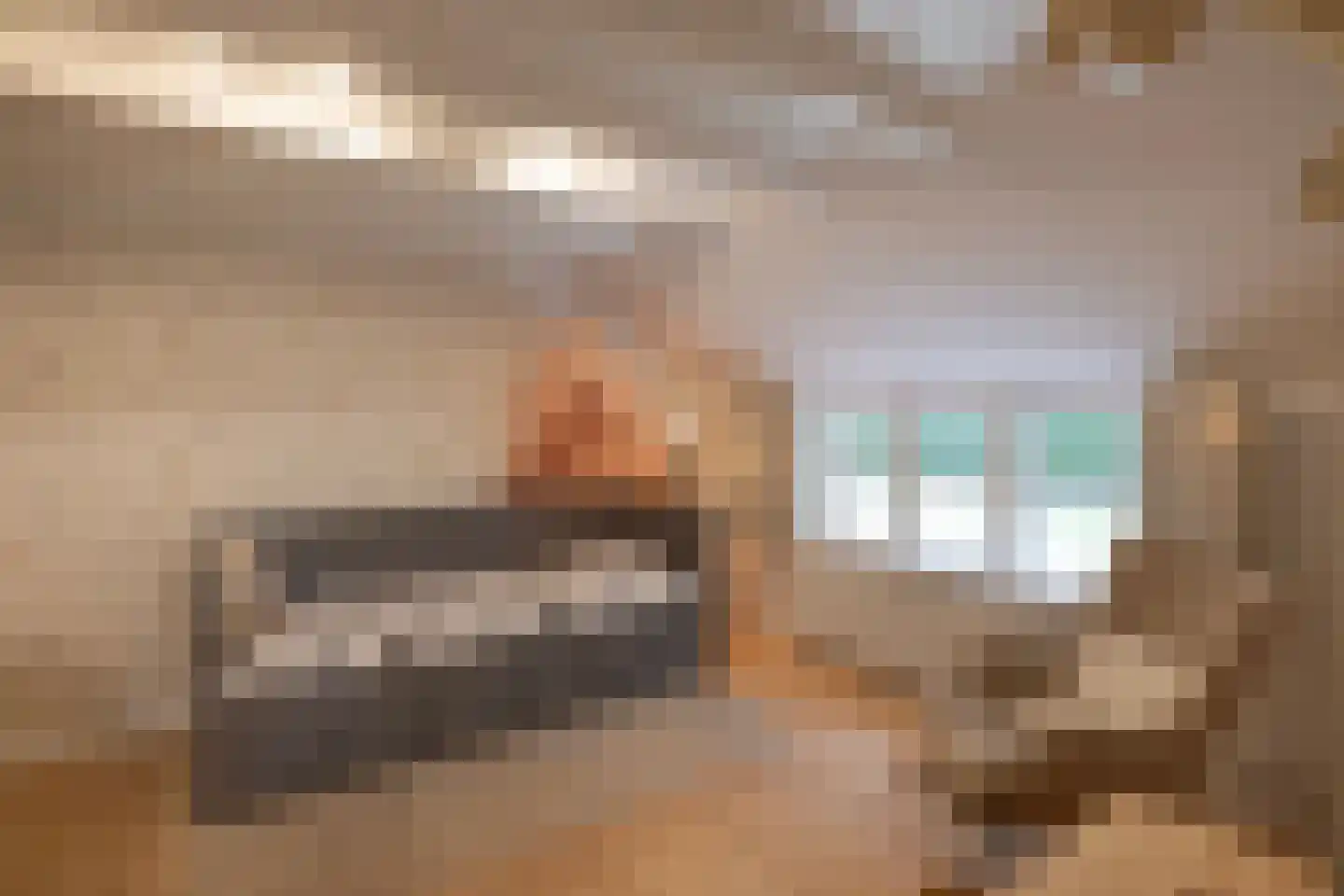 Schootbruggeweg 1 Doornspijk thumbnail 31