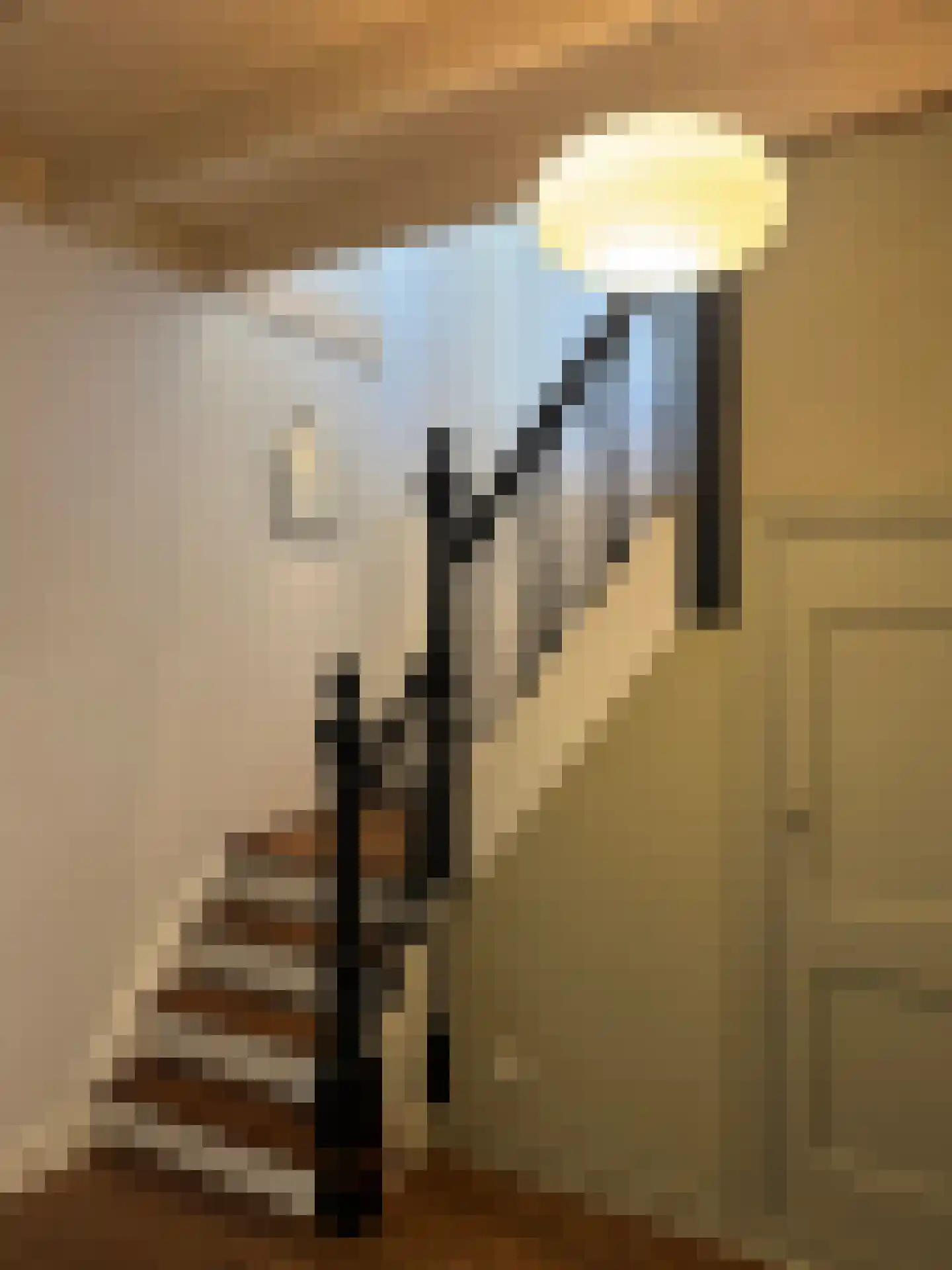 Schootbruggeweg 1 Doornspijk thumbnail 34