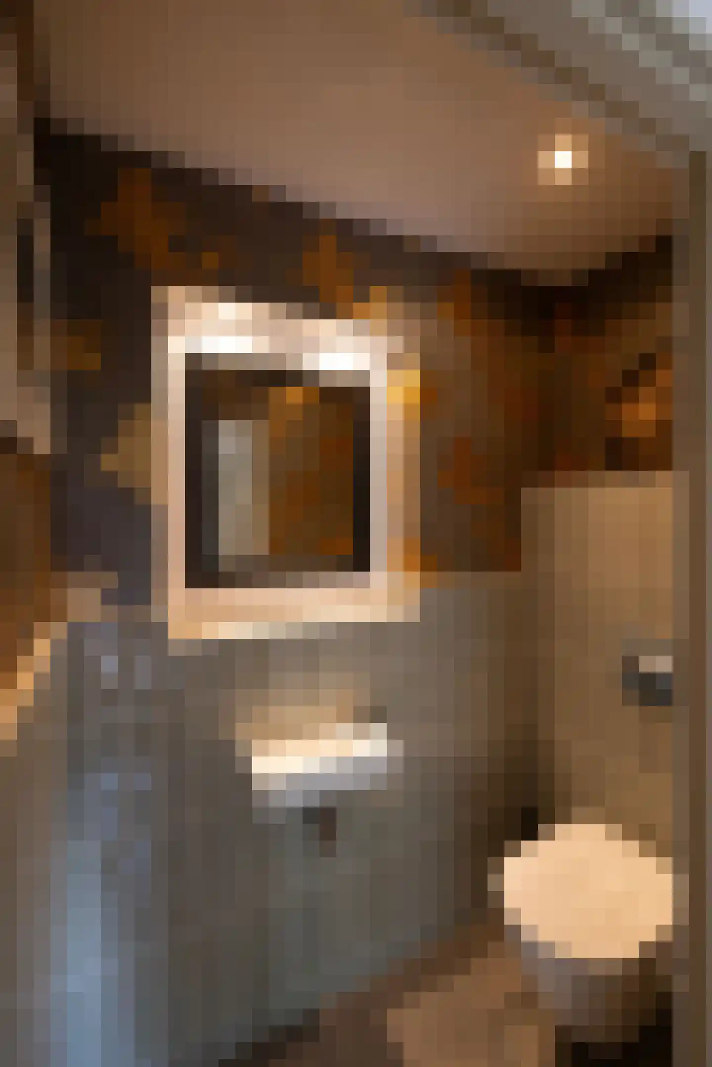 Schootbruggeweg 1 Doornspijk thumbnail 35