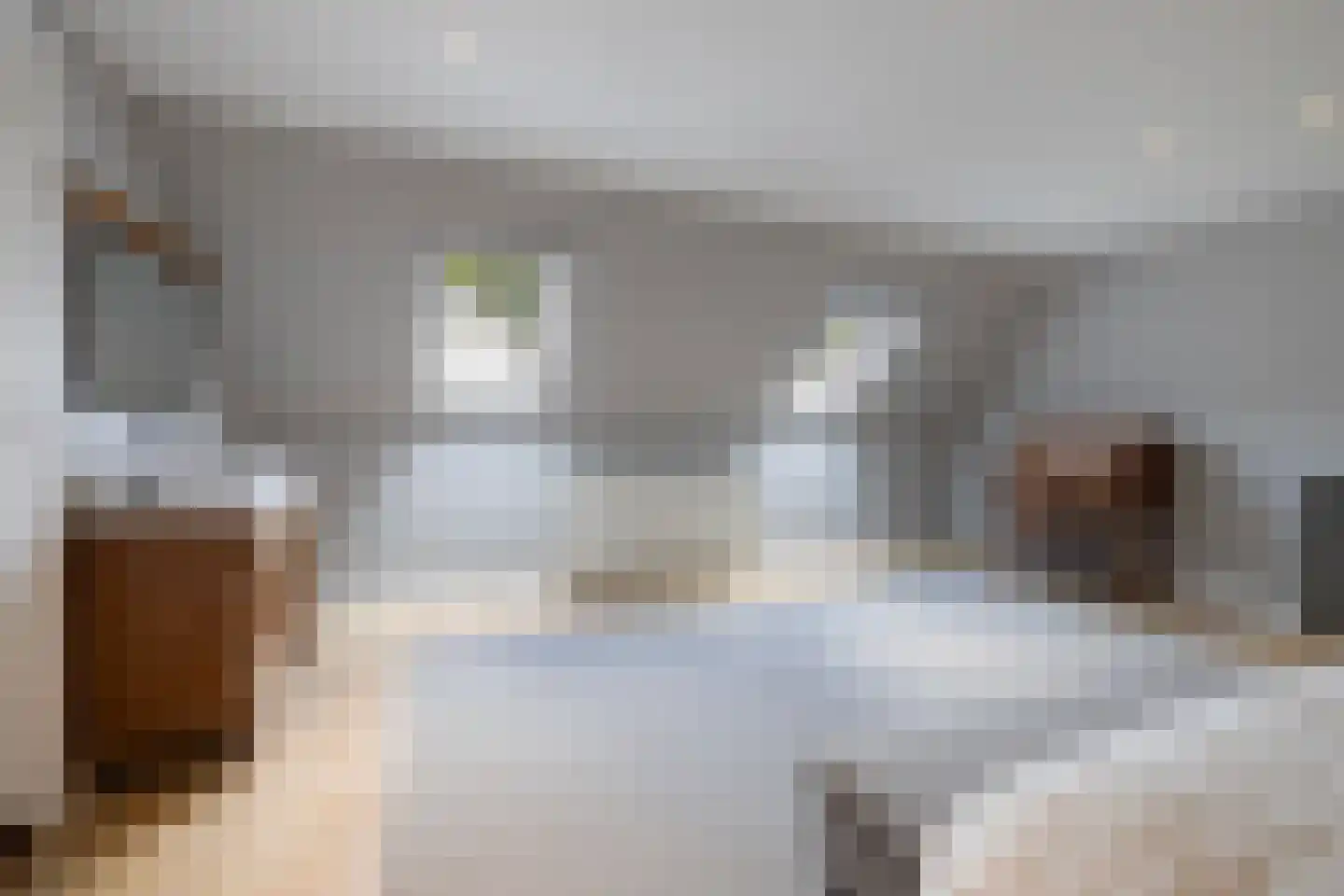 Schootbruggeweg 1 Doornspijk thumbnail 38