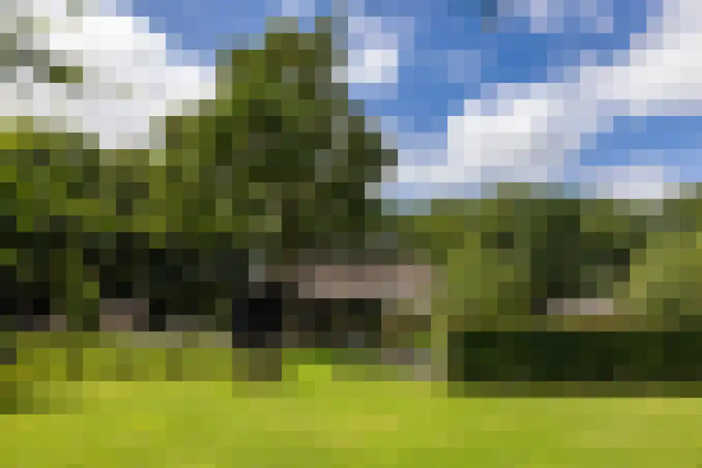 Schootbruggeweg 1 Doornspijk thumbnail 4