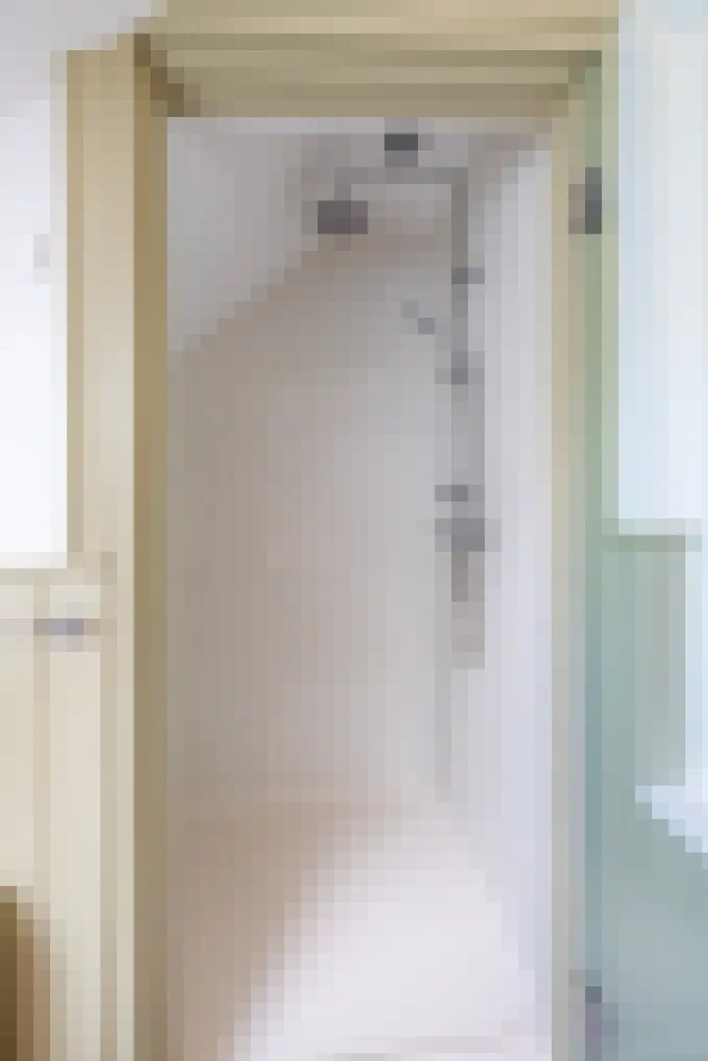 Schootbruggeweg 1 Doornspijk thumbnail 44