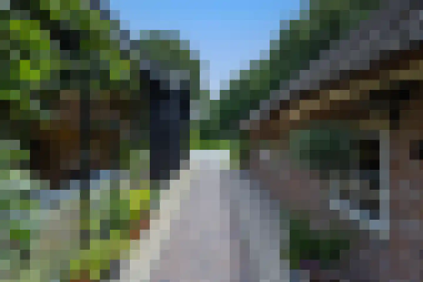 Schootbruggeweg 1 Doornspijk thumbnail 48