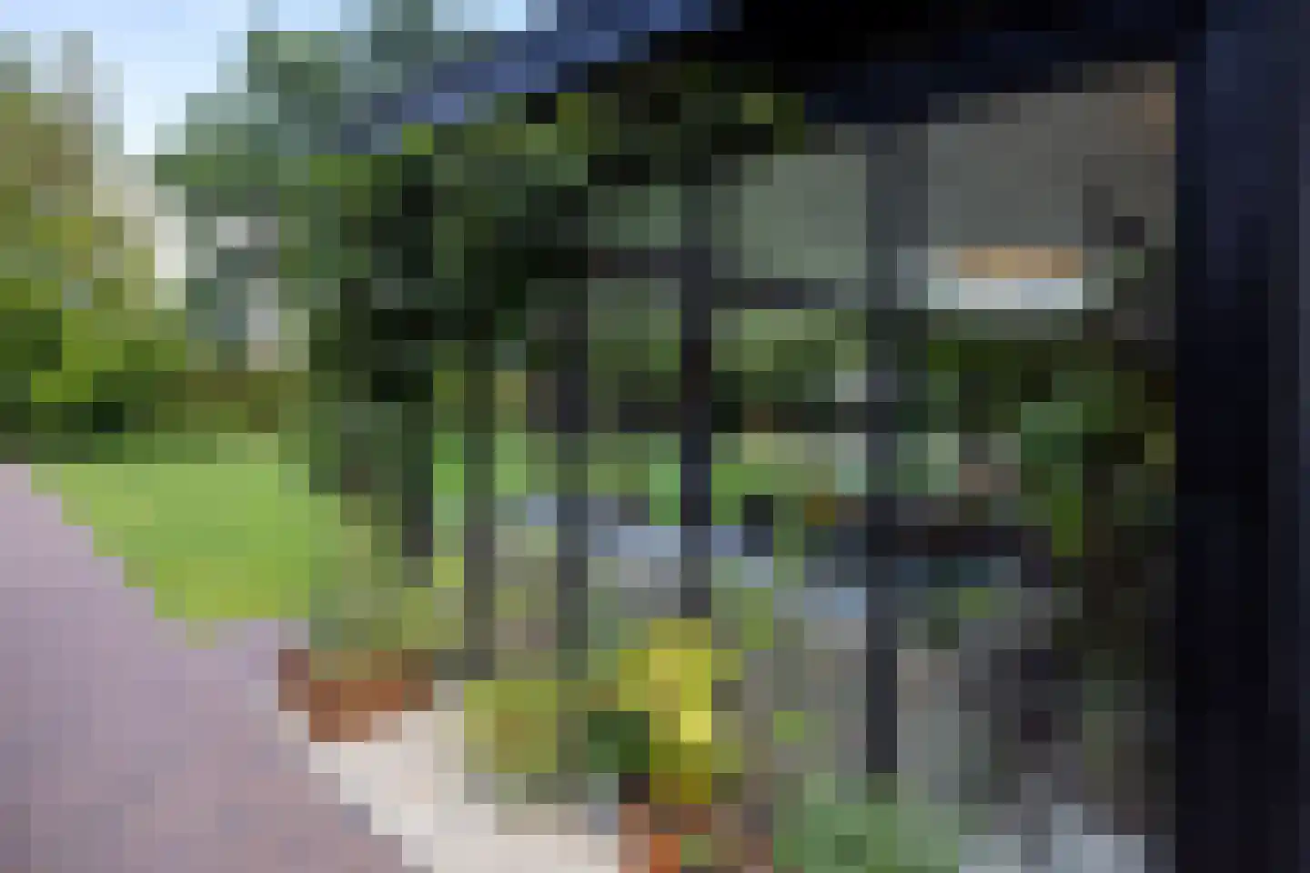 Schootbruggeweg 1 Doornspijk thumbnail 49