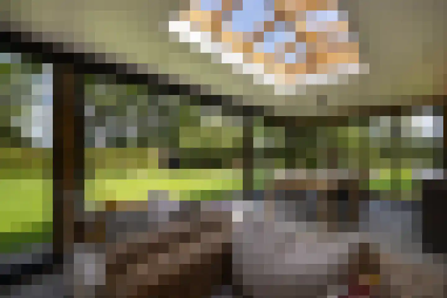 Schootbruggeweg 1 Doornspijk thumbnail 52