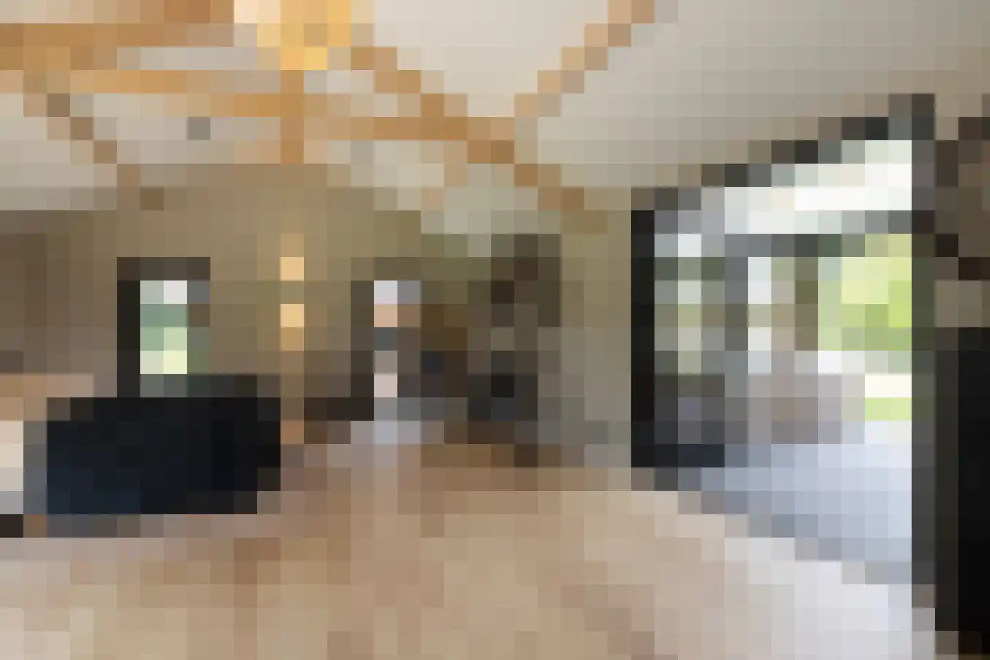 Schootbruggeweg 1 Doornspijk thumbnail 53