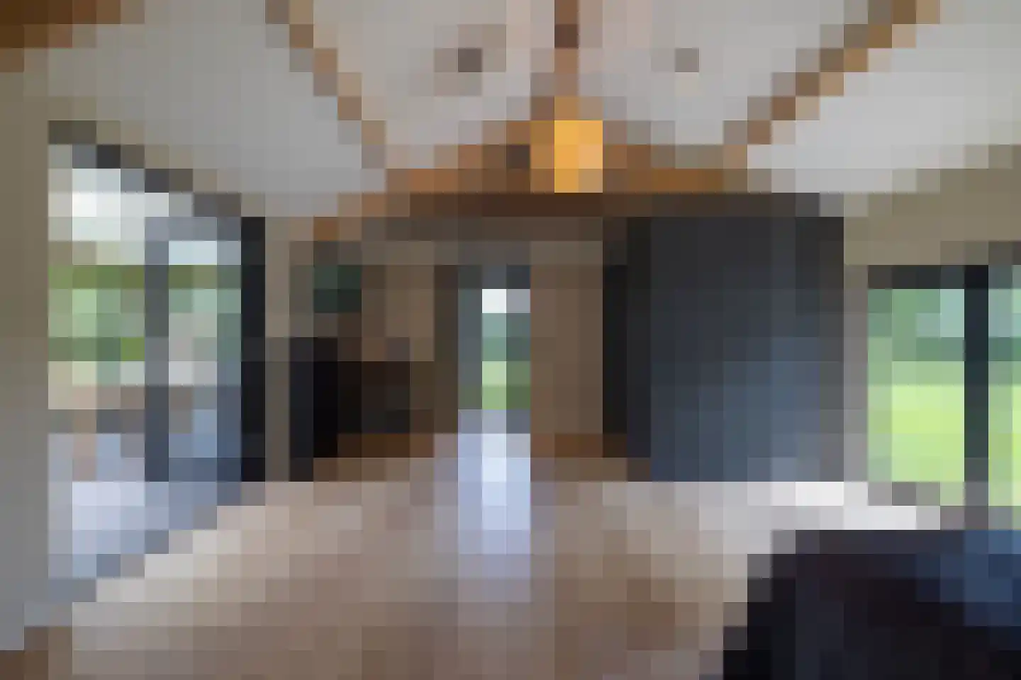 Schootbruggeweg 1 Doornspijk thumbnail 55