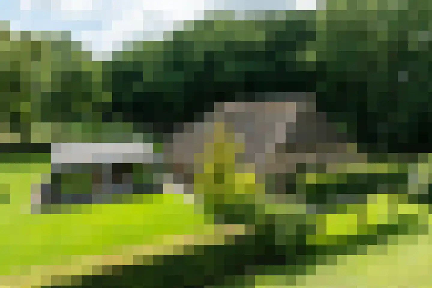 Schootbruggeweg 1 Doornspijk thumbnail 6