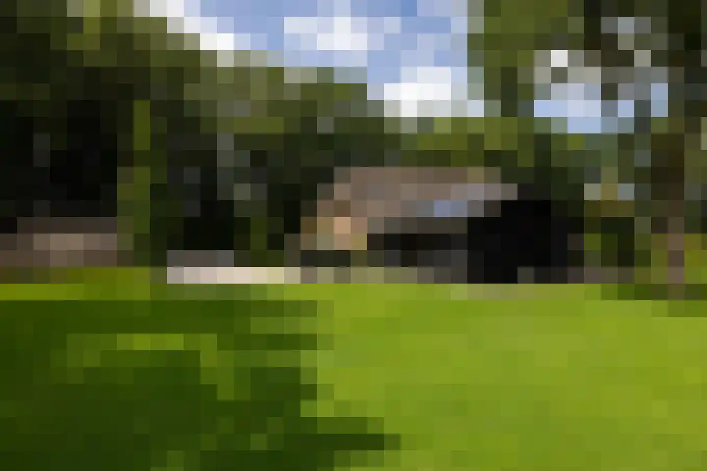 Schootbruggeweg 1 Doornspijk thumbnail 61