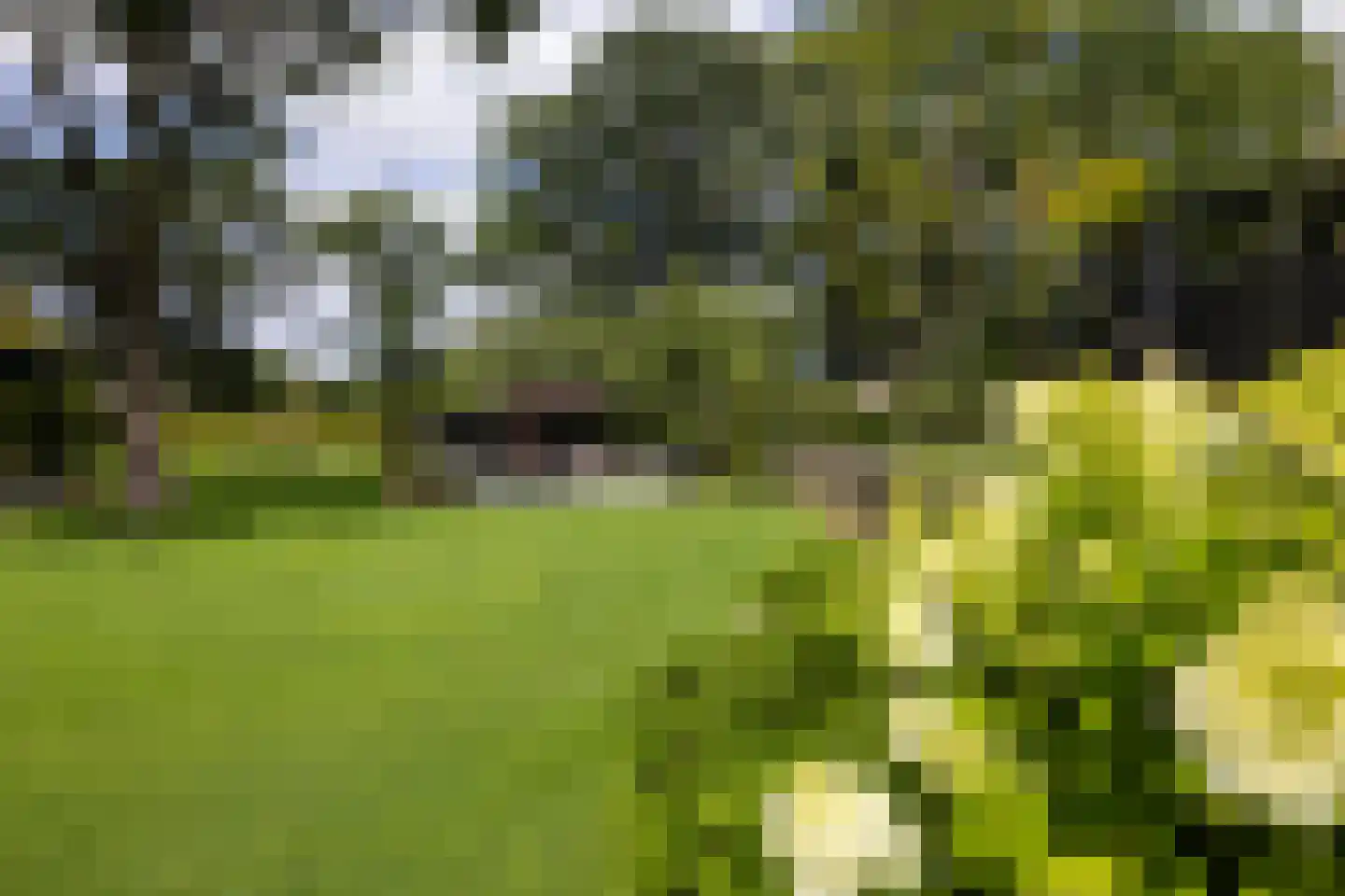 Schootbruggeweg 1 Doornspijk thumbnail 63