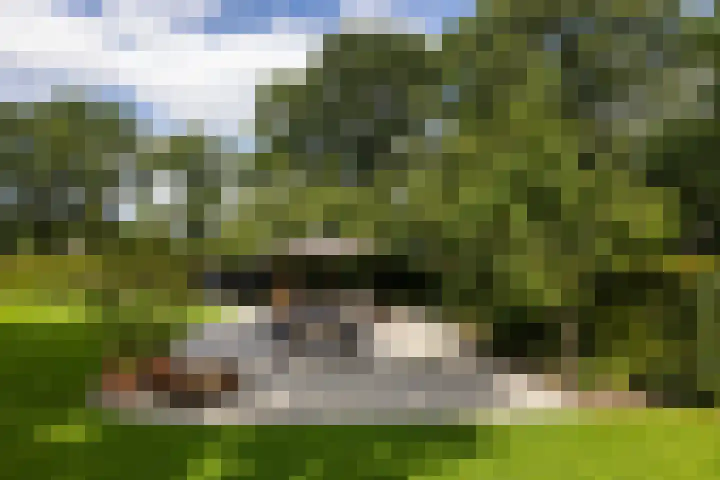 Schootbruggeweg 1 Doornspijk thumbnail 64