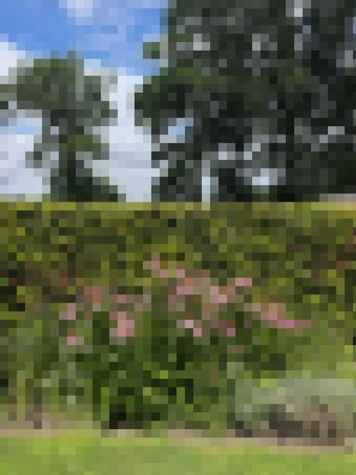 Schootbruggeweg 1 Doornspijk thumbnail 65