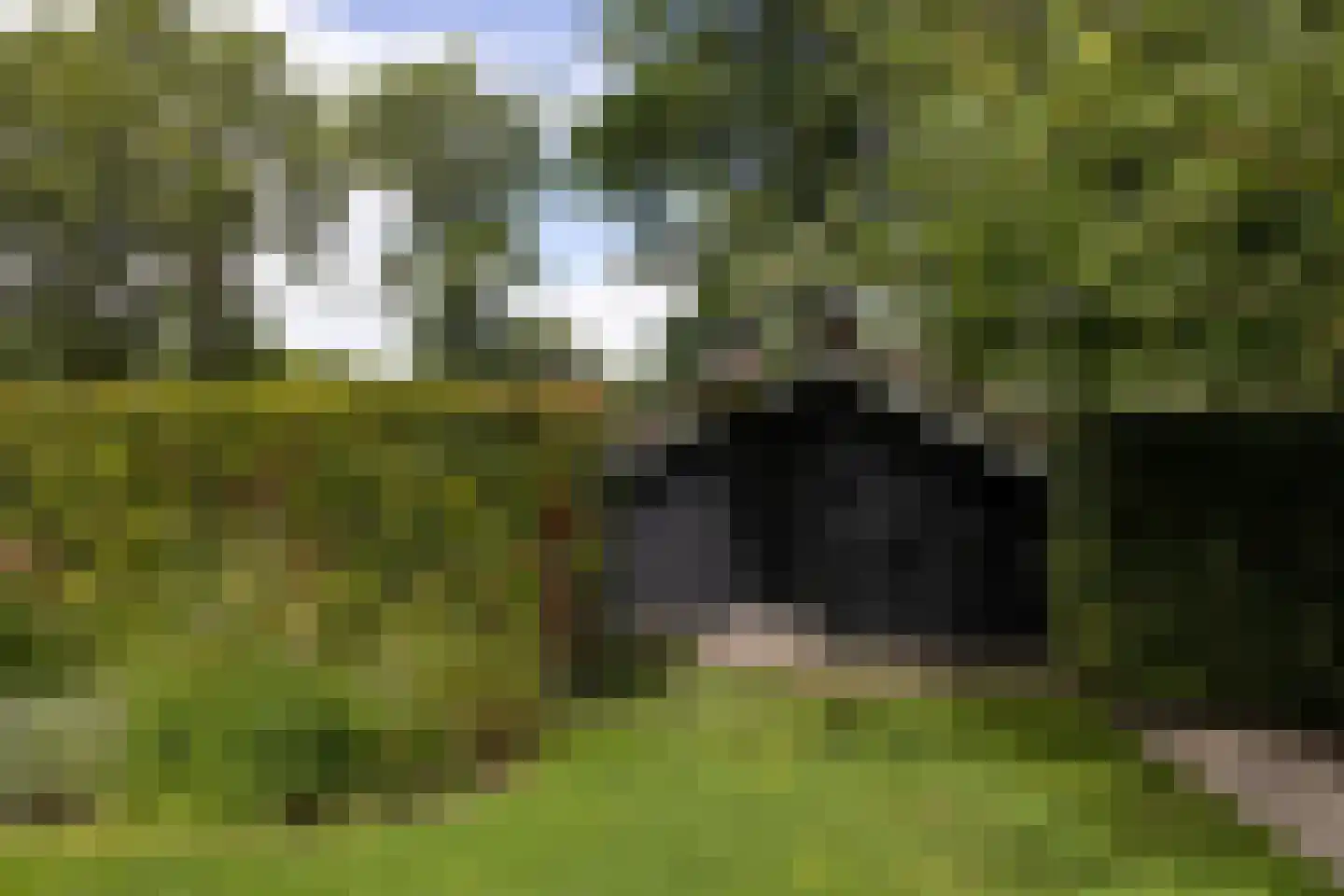 Schootbruggeweg 1 Doornspijk thumbnail 66