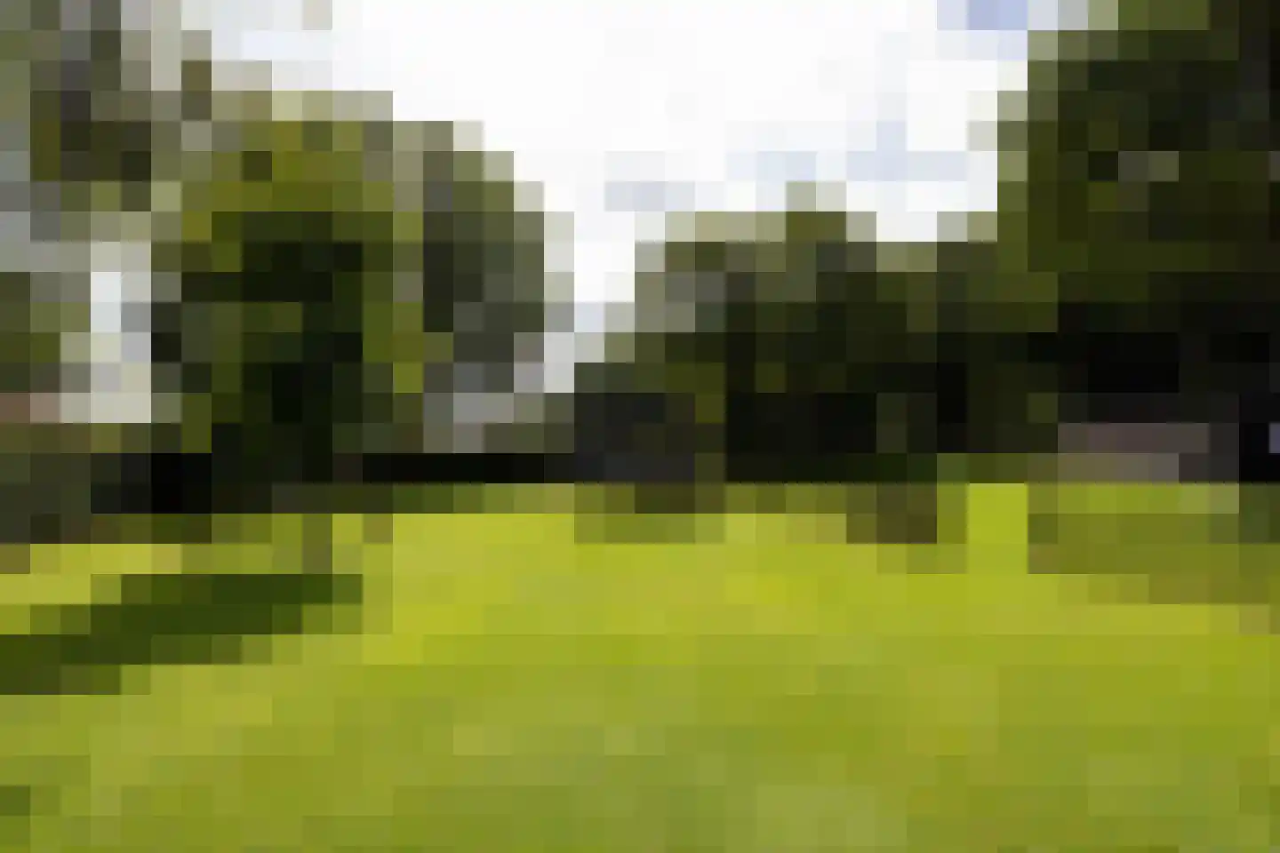 Schootbruggeweg 1 Doornspijk thumbnail 67