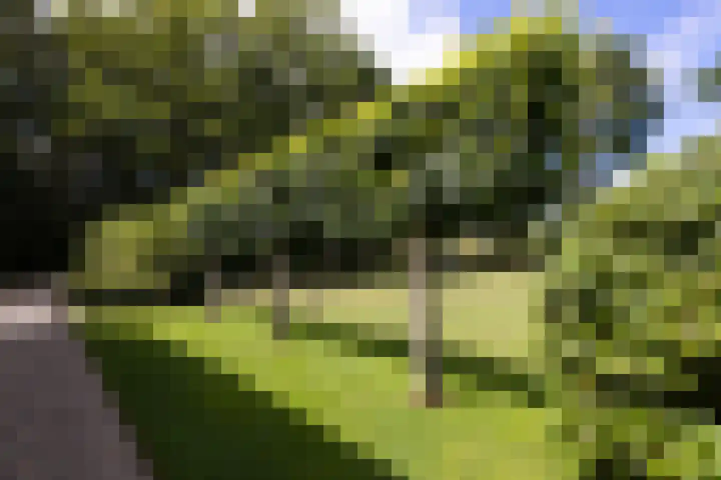 Schootbruggeweg 1 Doornspijk thumbnail 69