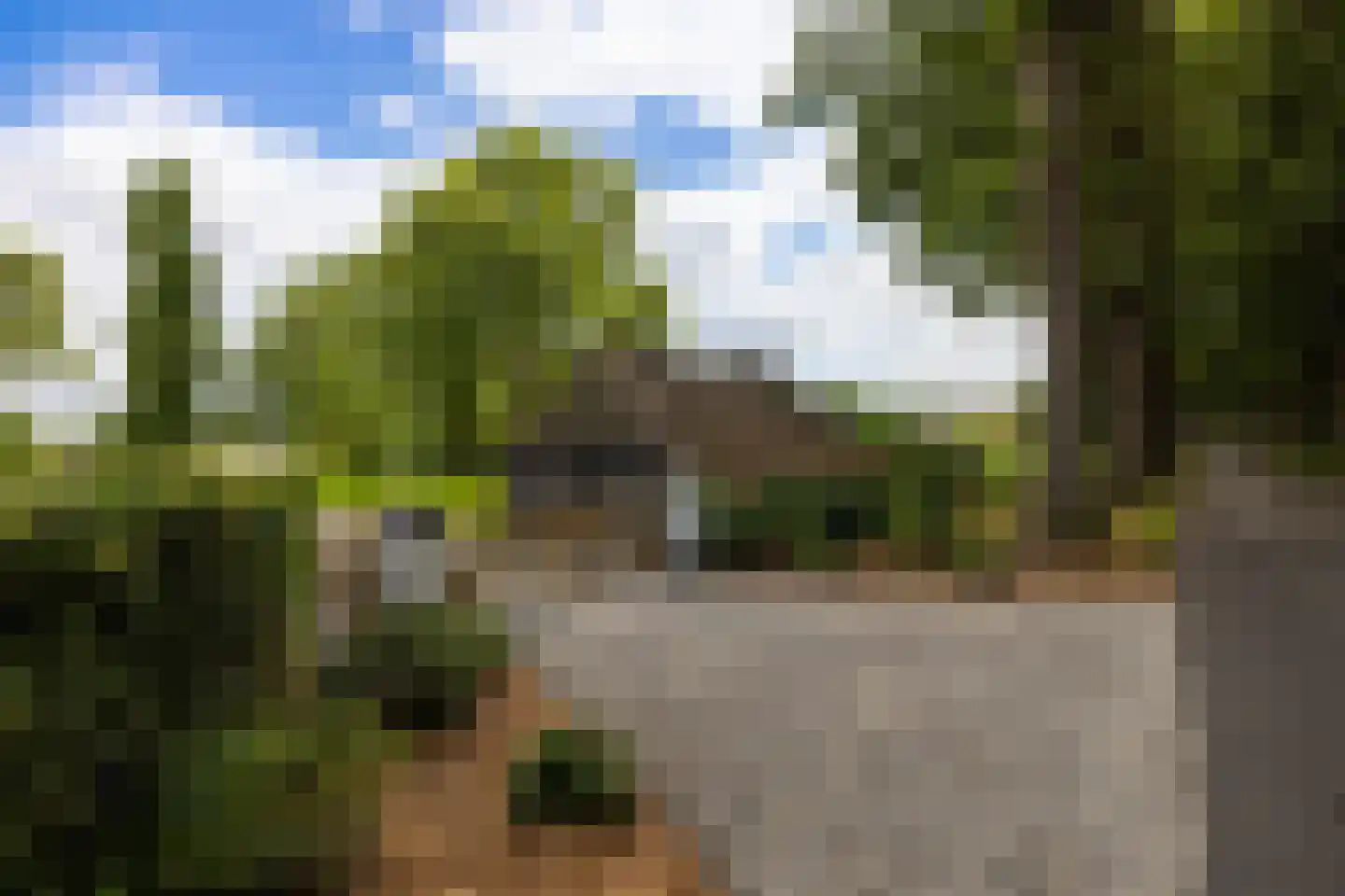 Schootbruggeweg 1 Doornspijk thumbnail 74