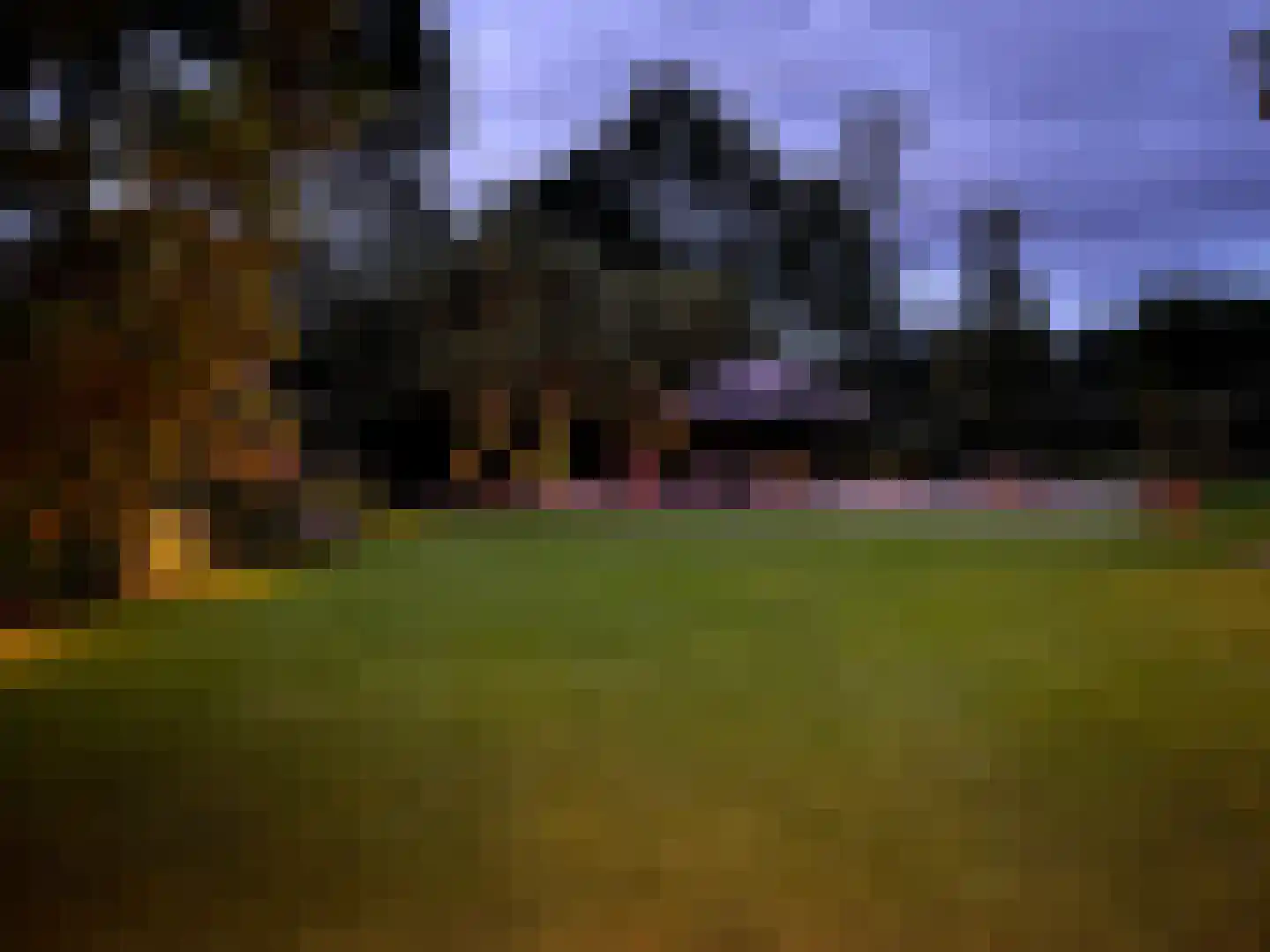 Schootbruggeweg 1 Doornspijk thumbnail 76