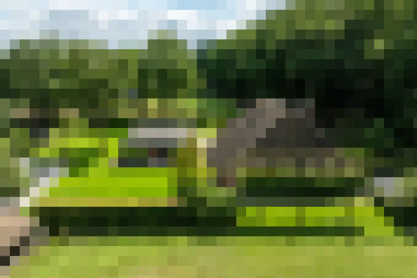 Schootbruggeweg 1 Doornspijk thumbnail 79