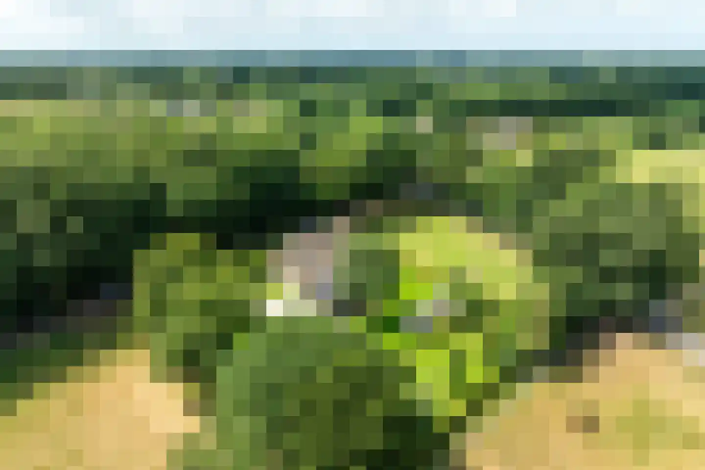 Schootbruggeweg 1 Doornspijk thumbnail 81