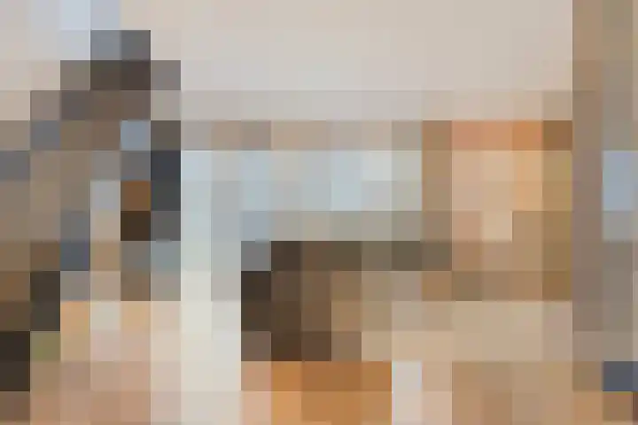 Schooteindseweg 2 a Vlierden thumbnail 11