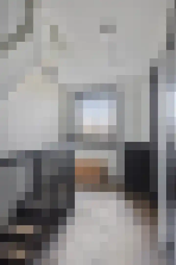 Schooteindseweg 2 a Vlierden thumbnail 20