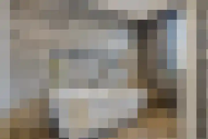 Schooteindseweg 2 a Vlierden thumbnail 26