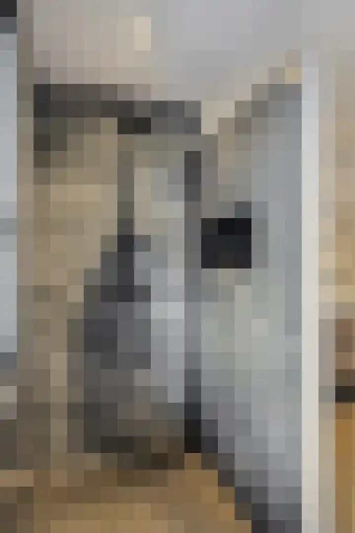 Schooteindseweg 2 a Vlierden thumbnail 28