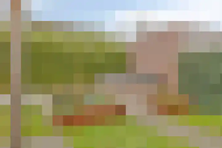 Schooteindseweg 2 a Vlierden thumbnail 41