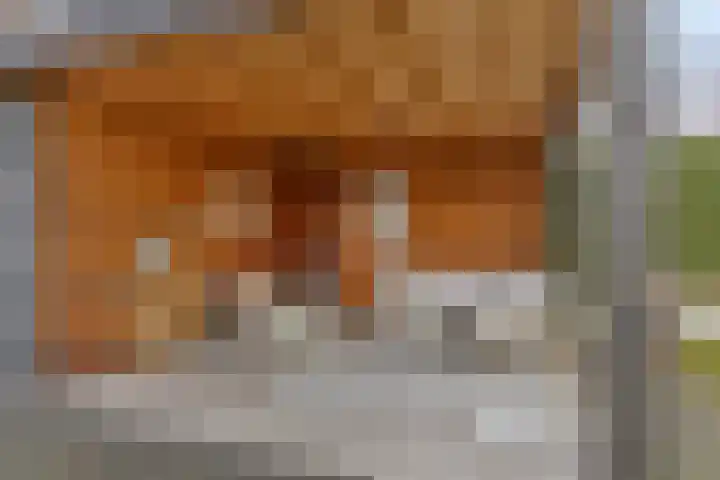 Schooteindseweg 2 a Vlierden thumbnail 42
