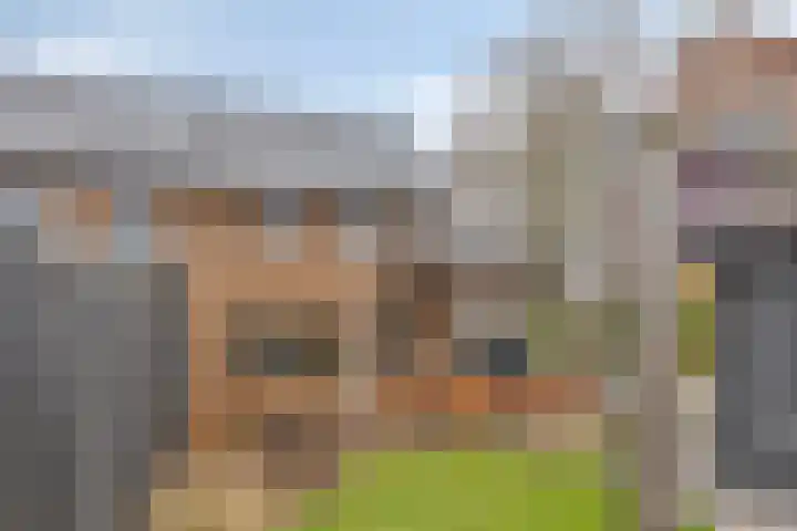 Schooteindseweg 2 a Vlierden thumbnail 44