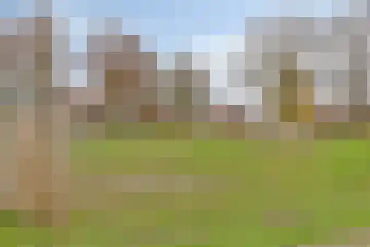 Schooteindseweg 2 a Vlierden thumbnail 48