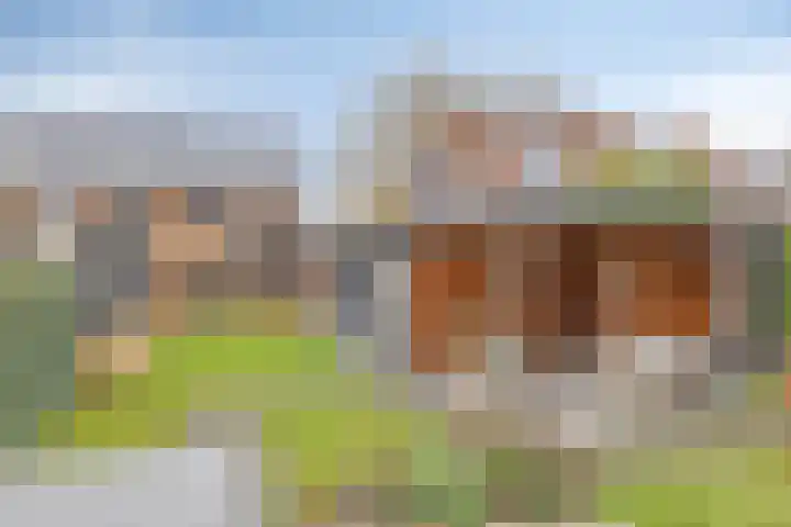 Schooteindseweg 2 a Vlierden thumbnail 5