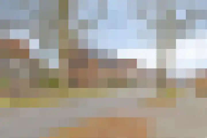 Schooteindseweg 2 a Vlierden thumbnail 50