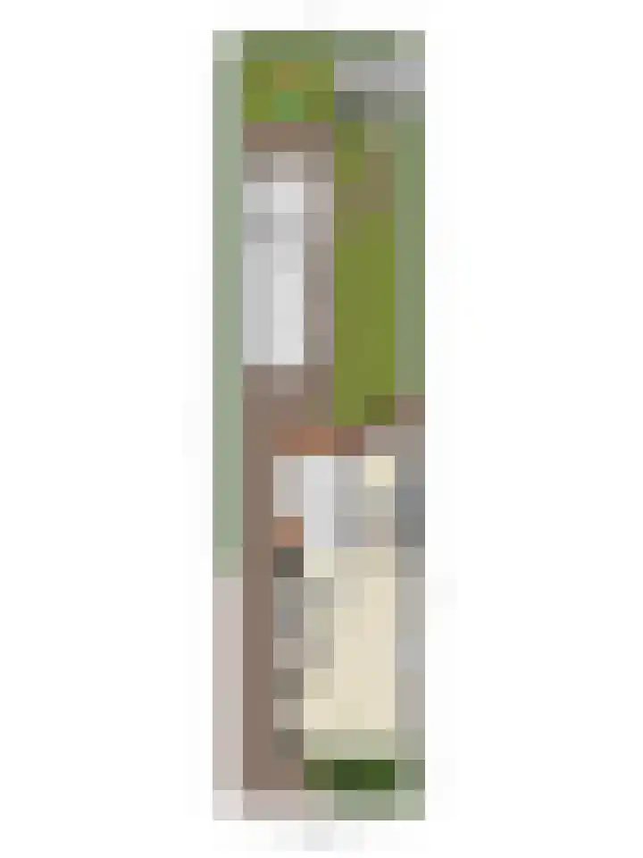 Schooteindseweg 2 a Vlierden thumbnail 58