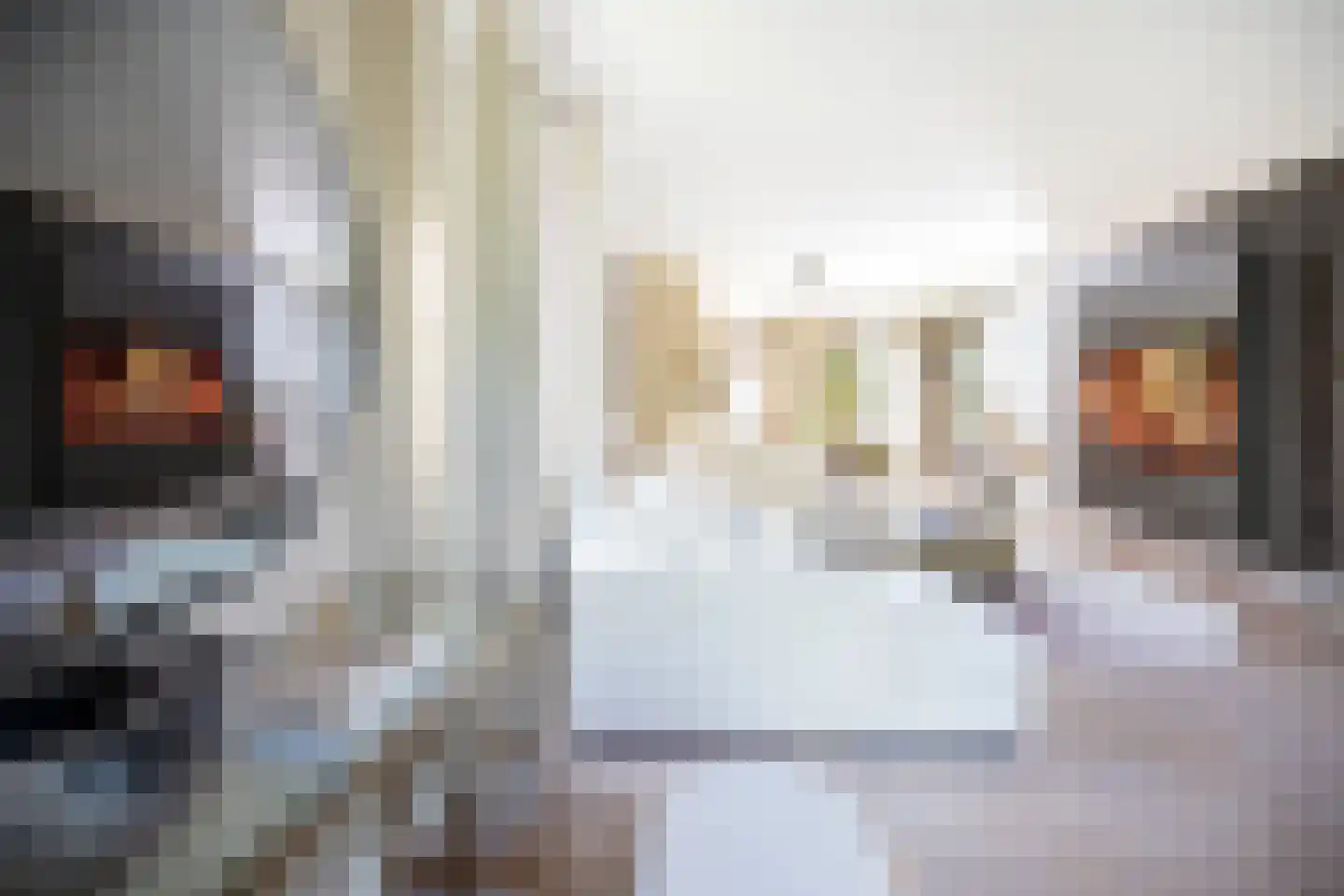 Schooteindseweg 6 Vlierden thumbnail 11