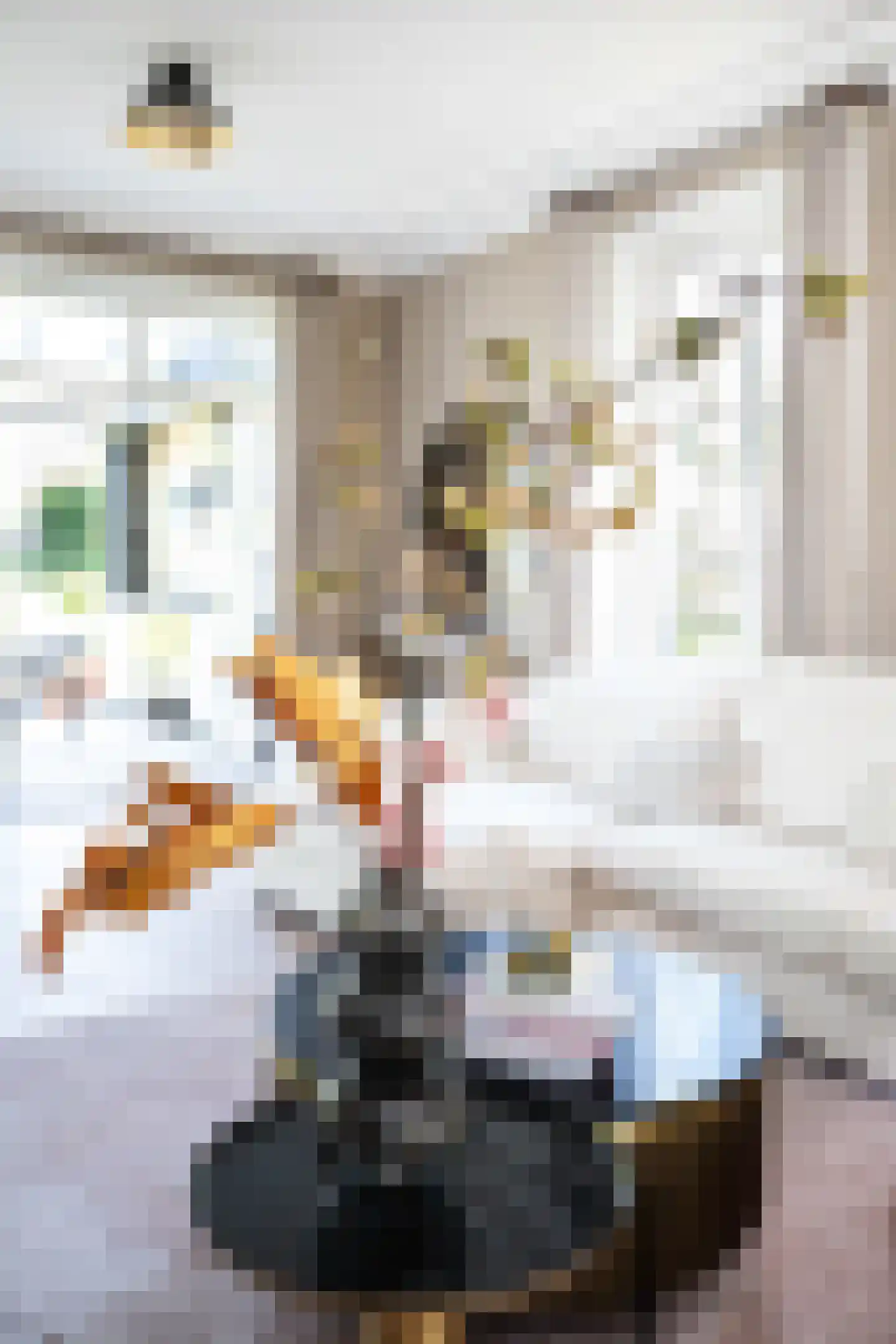 Schooteindseweg 6 Vlierden thumbnail 12